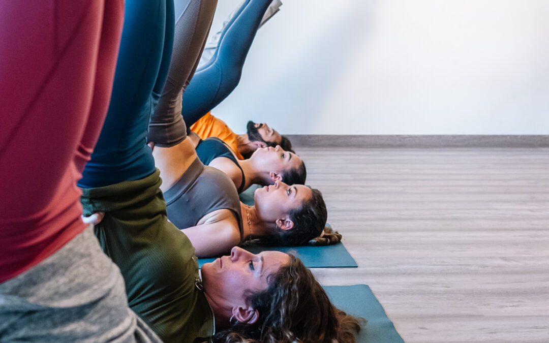 Hatha-Yoga erklärt