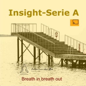 Insight-Series
